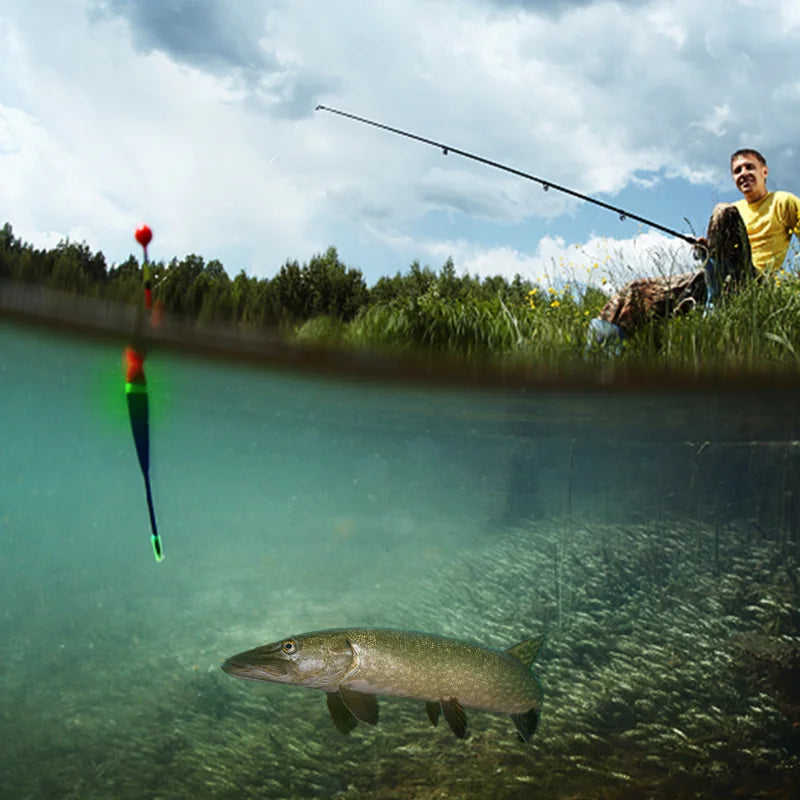 EVA Luminous Fishing Float – Night Light Bobber for Sea/Rock Fishing (10g/15g/20g)